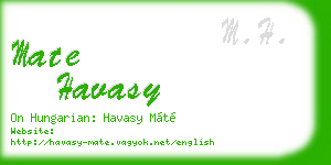 mate havasy business card